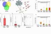 Co‑expression of cancer‑testis antigens of MAGE‑A6 and MAGE‑A11 is associated with tumor aggressiveness in patients with bladder cancer