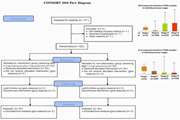 The effect of Melatonin on Improving the benign Prostatic Hyperplasia Urinary Symptoms, a Randomized Clinical Trial